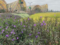 -中国天府农业博览园