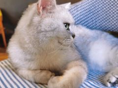 -不舍昼夜咖啡馆