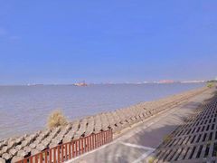 -上海滨江森林公园