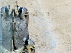 -杭州野生动物世界