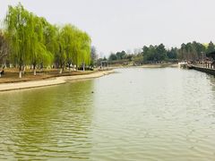 -白塘生态植物园