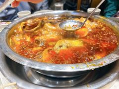 -肖肖酸萝卜鱼火锅(总店)