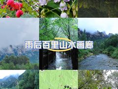 -百里山水画廊