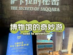 -上海博物馆(人民广场馆)