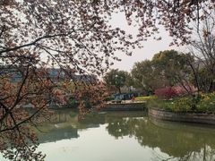 -嘉定紫藤园