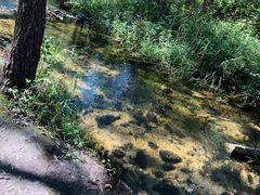 -碓臼峪自然风景区