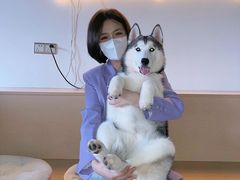 -Husky Go! 哈士奇体验馆·宠物咖啡厅狗咖