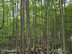 -东明山森林公园