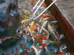 -万达茂商场(南京仙林店)