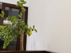 -肥朵食堂(带梦胡同店)