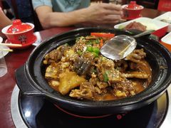 -火焰金龟甲(汉阳江滩旗舰店)