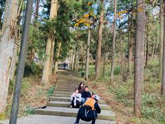 -溪口商量岗景区