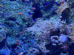 -新加坡海洋生态馆