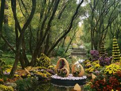 -上海共青森林公园