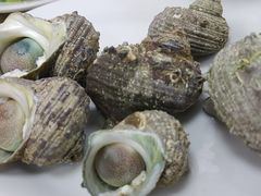 -红海湾豪记海鲜大排档