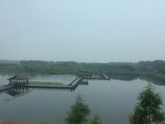 -溱湖国家湿地公园