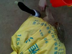 -东寨港红树林旅游区