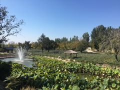 -静之湖湖畔餐厅