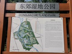 景点-东郊湿地公园
