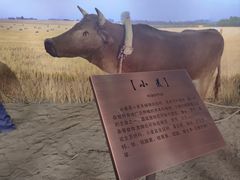 -河北村民俗体验园