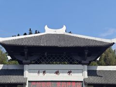 -紫鹊界梯田景区