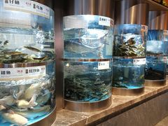 -老船舫·现做活鲜鱼馆(东郊记忆店)