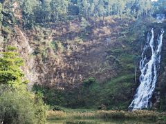 -水濂山森林公园