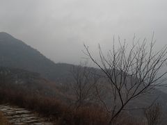 -阳台山自然风景区