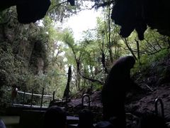 -怀托摩萤火虫洞