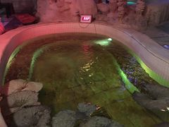 -泉城欧乐堡戏水湾艺术养生温泉