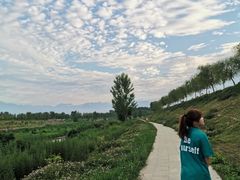 -洨河生态公园