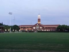 -上海德威外籍人员子女学校(浦东校区)