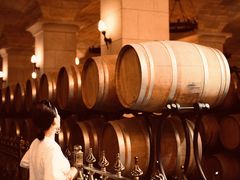 -北京张裕爱斐堡酒庄