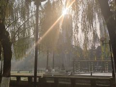 -温江公园