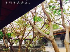 -COSTA COFFEE(岭南天地店)