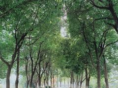 -大蜀山国家森林公园