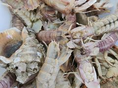 -仙螺岛海鲜自助餐厅(总店)