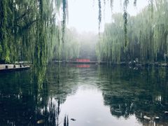 -玲珑塔公园