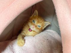 -老裁缝改衣订制