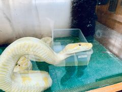 -上海大自然野生昆虫馆