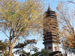 -西海子公园