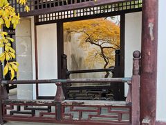 -常熟方塔园