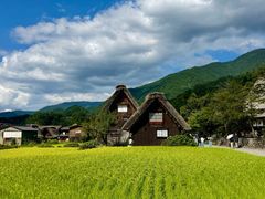-白川乡与五箇山的合掌构造村落