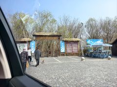 -西青郊野公园