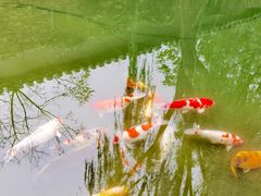 -春风习习