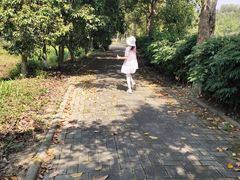 -荔枝红五号农庄