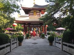 -大唐博相府酒店·陕西官府菜