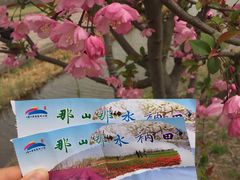 -江苏三台山国家森林公园