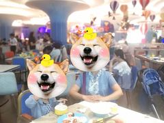 -帝企鹅自助餐厅•儿童岛•真企鹅(长隆企鹅酒店)