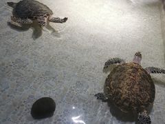 -常州海昌海洋探索馆
